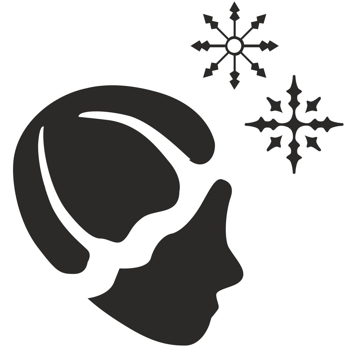 protection from snow icon