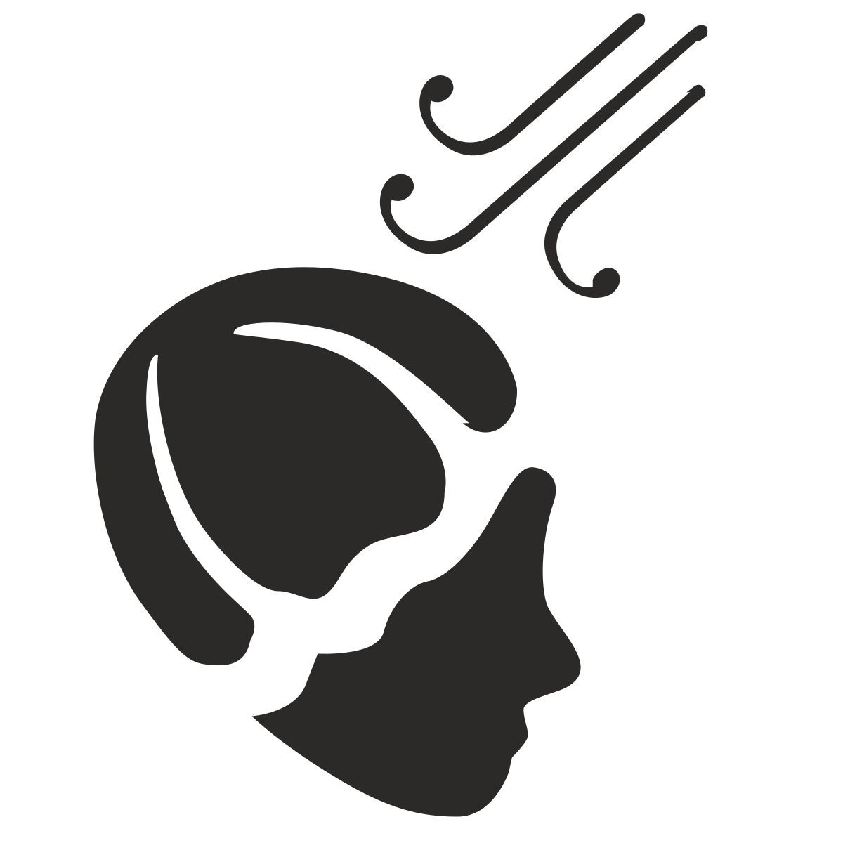 protection from wind icon