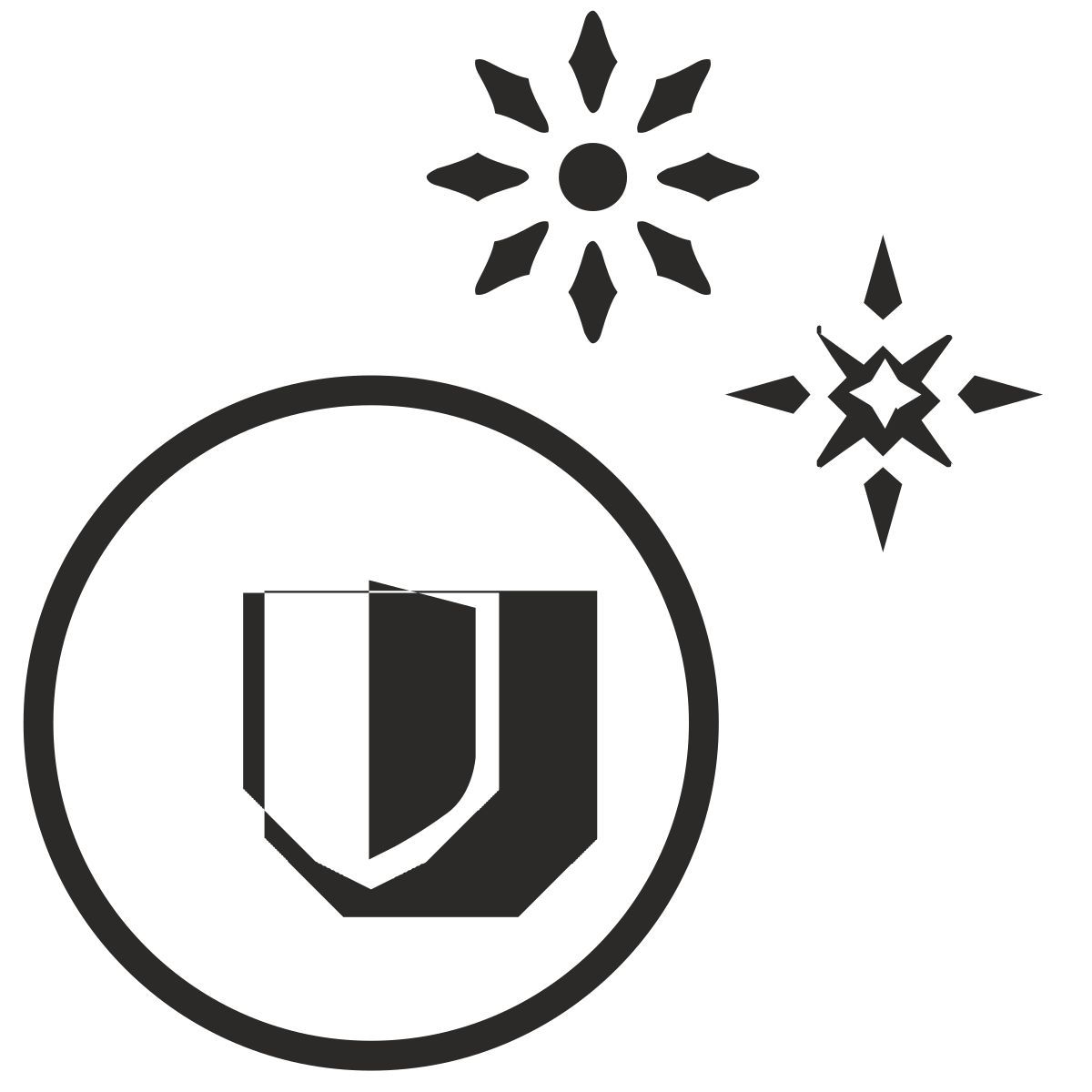 protection icon
