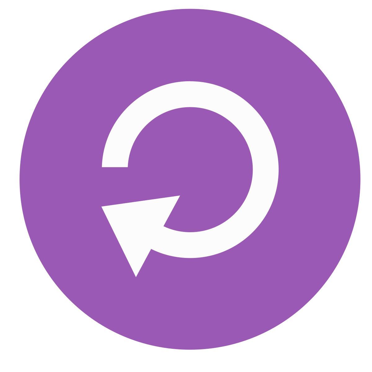 재장전 icon