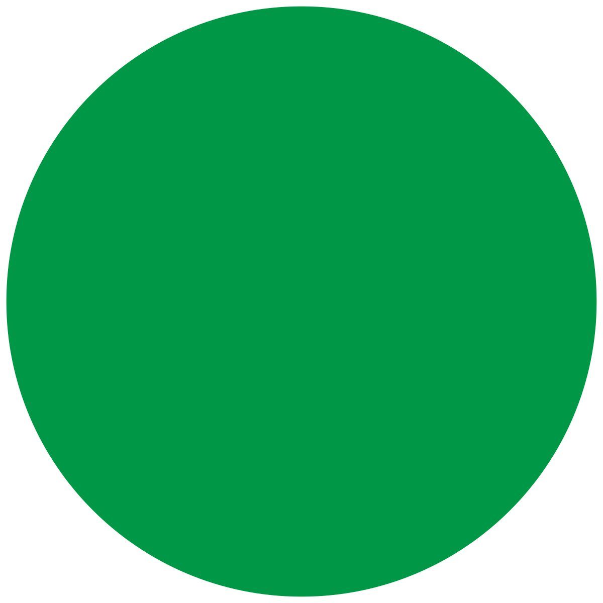 círculo desmarcado icon