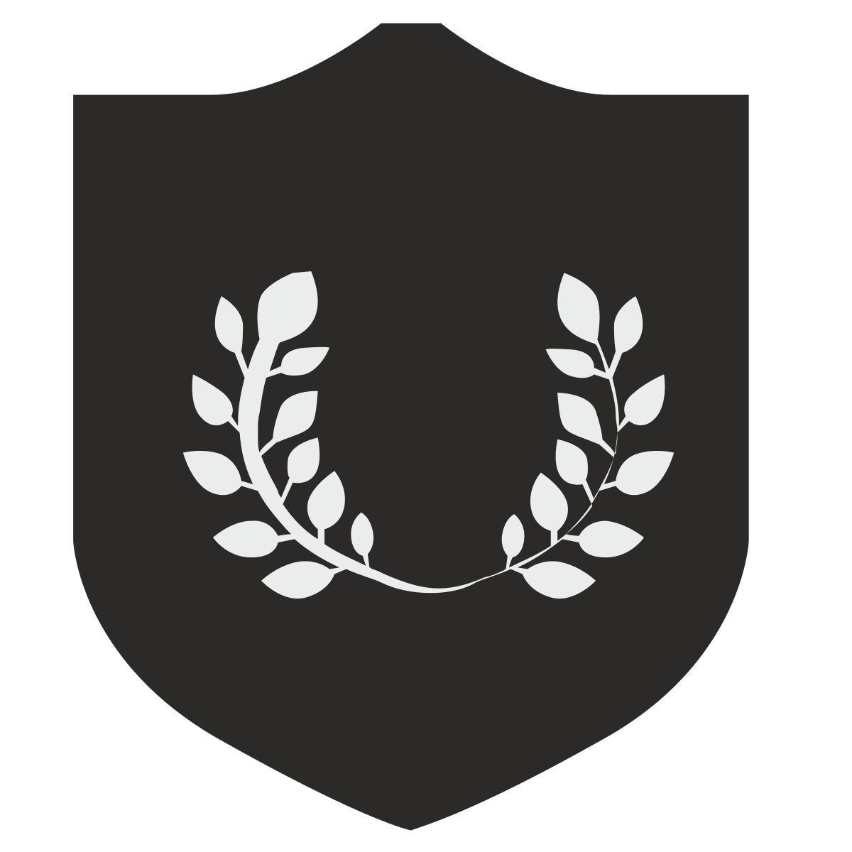 shield icon