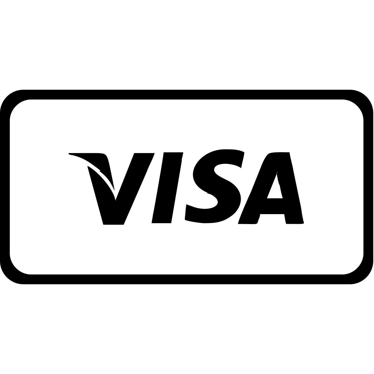 visa icon