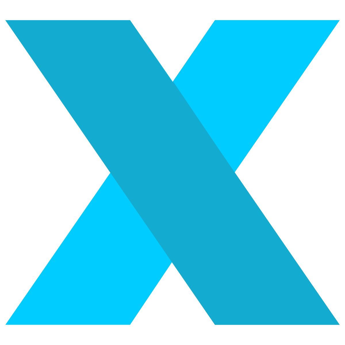 x icon