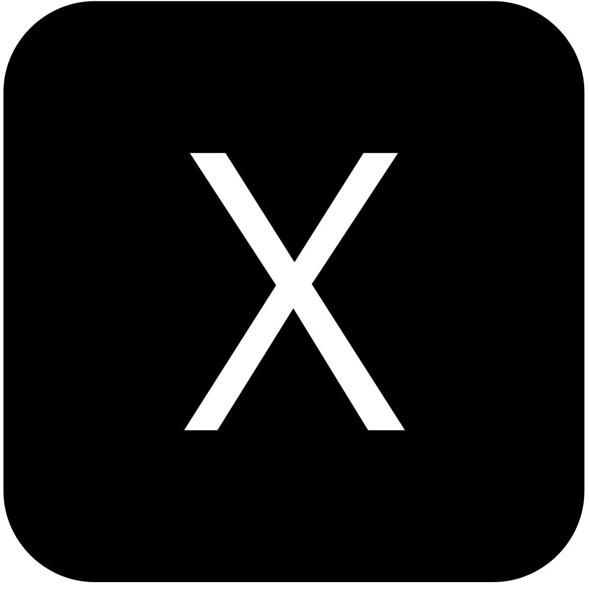 엑스 icon