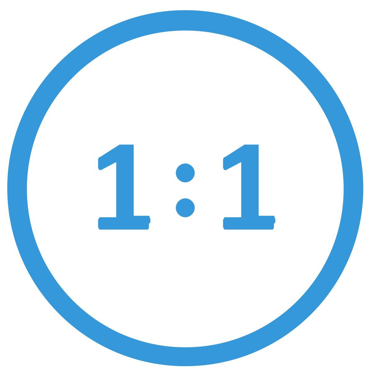 zoom icon