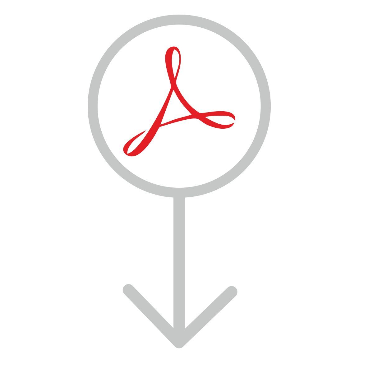 acrobat icon