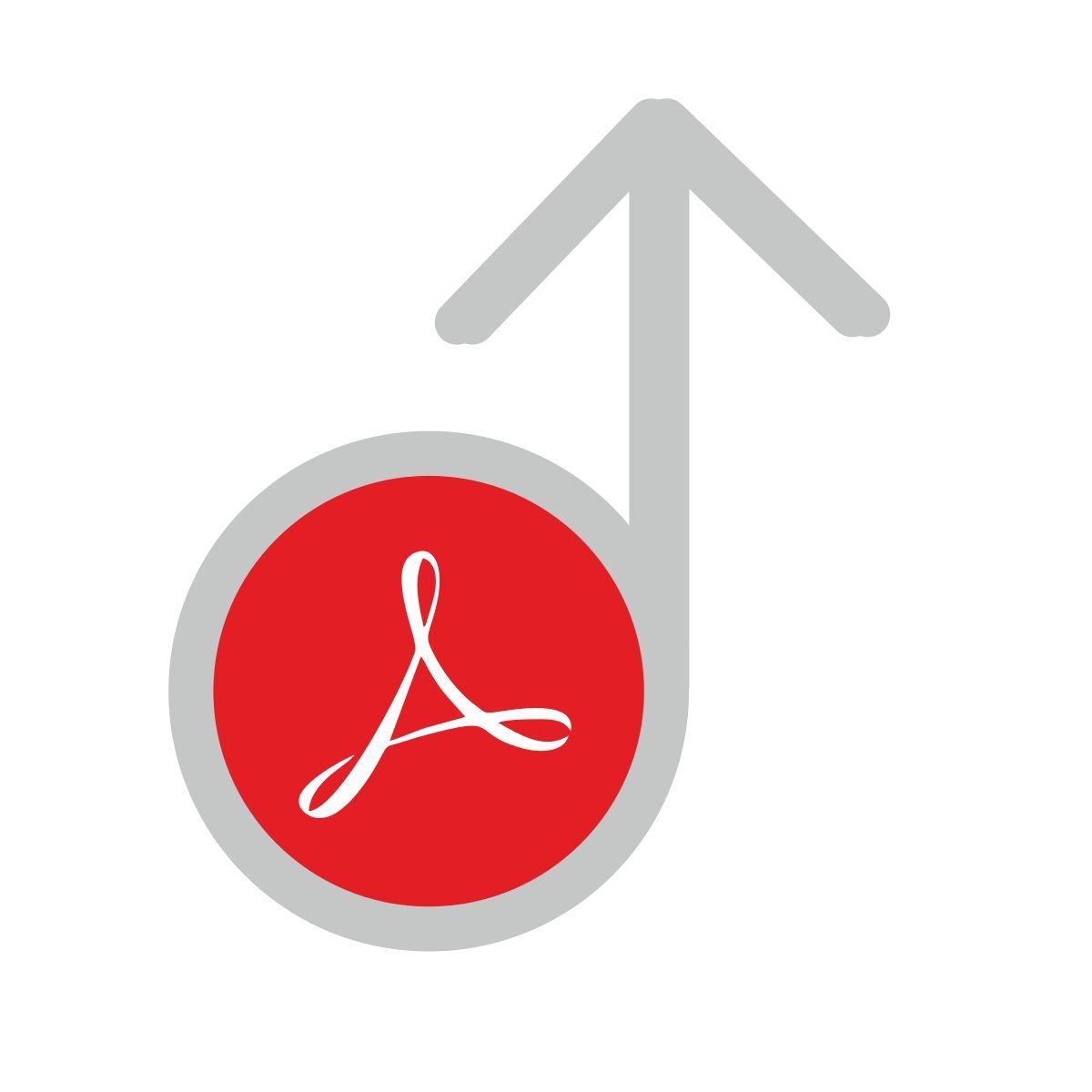 acrobat icon