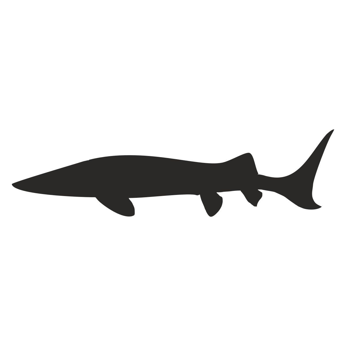 beluga icon