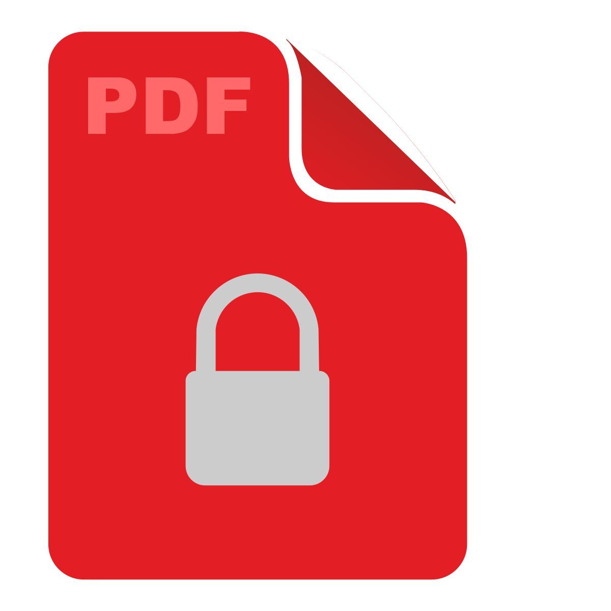 document icon
