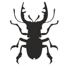 external Beetle-bug-others-inmotus-design-2 icon
