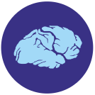 external Brain-brain-others-inmotus-design icon