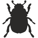 external Bug-bug-others-inmotus-design icon