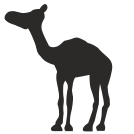 external Camel-camel-others-inmotus-design-10 icon