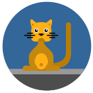 external Cat-kitty-others-inmotus-design-5 icon