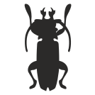 external Cockroach-bug-others-inmotus-design icon