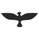external Eagle-eagle-others-inmotus-design-10 icon