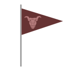 external Flag-triangle-flags-others-inmotus-design-9 icon