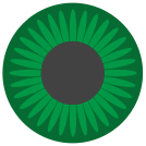 external Green-Eye-eye-others-inmotus-design-2 icon