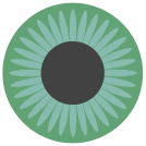 external Green-Eye-eye-others-inmotus-design-4 icon
