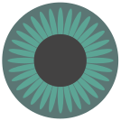 external Green-Eye-eye-others-inmotus-design icon