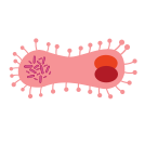 external Infusorium-bacteria-and-bio-virus-others-inmotus-design icon