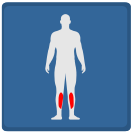 external Legs-Pain-x-ray-others-inmotus-design-2 icon