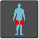external Legs-Pain-x-ray-others-inmotus-design icon