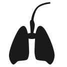external Lungs-health-others-inmotus-design icon