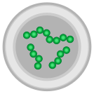 external Microbe-bacteria-and-bio-virus-others-inmotus-design icon
