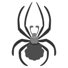 external Spider-insects-others-inmotus-design icon