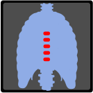 external X-Ray-x-ray-others-inmotus-design-8 icon