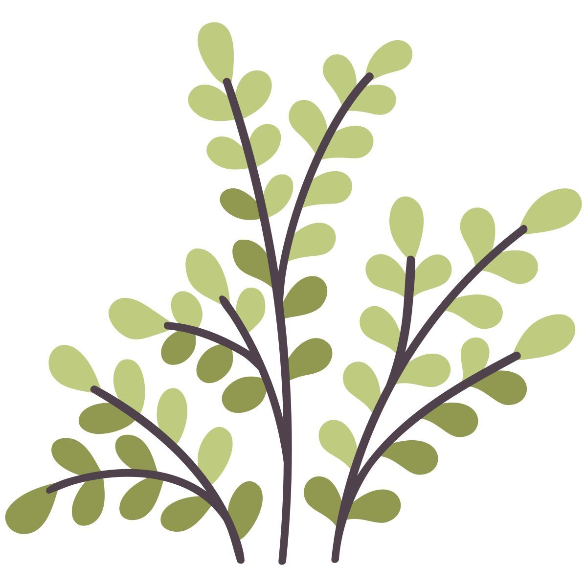 nature icon