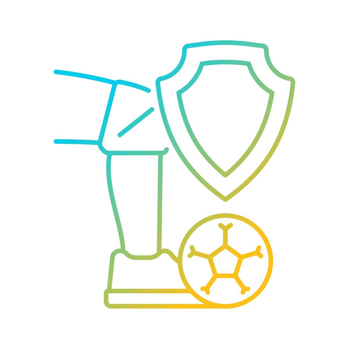 스포츠 사고 icon