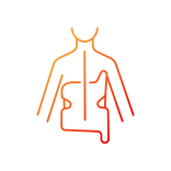 external Scoliosis-scoliosis-others-papa-vector-2 icon