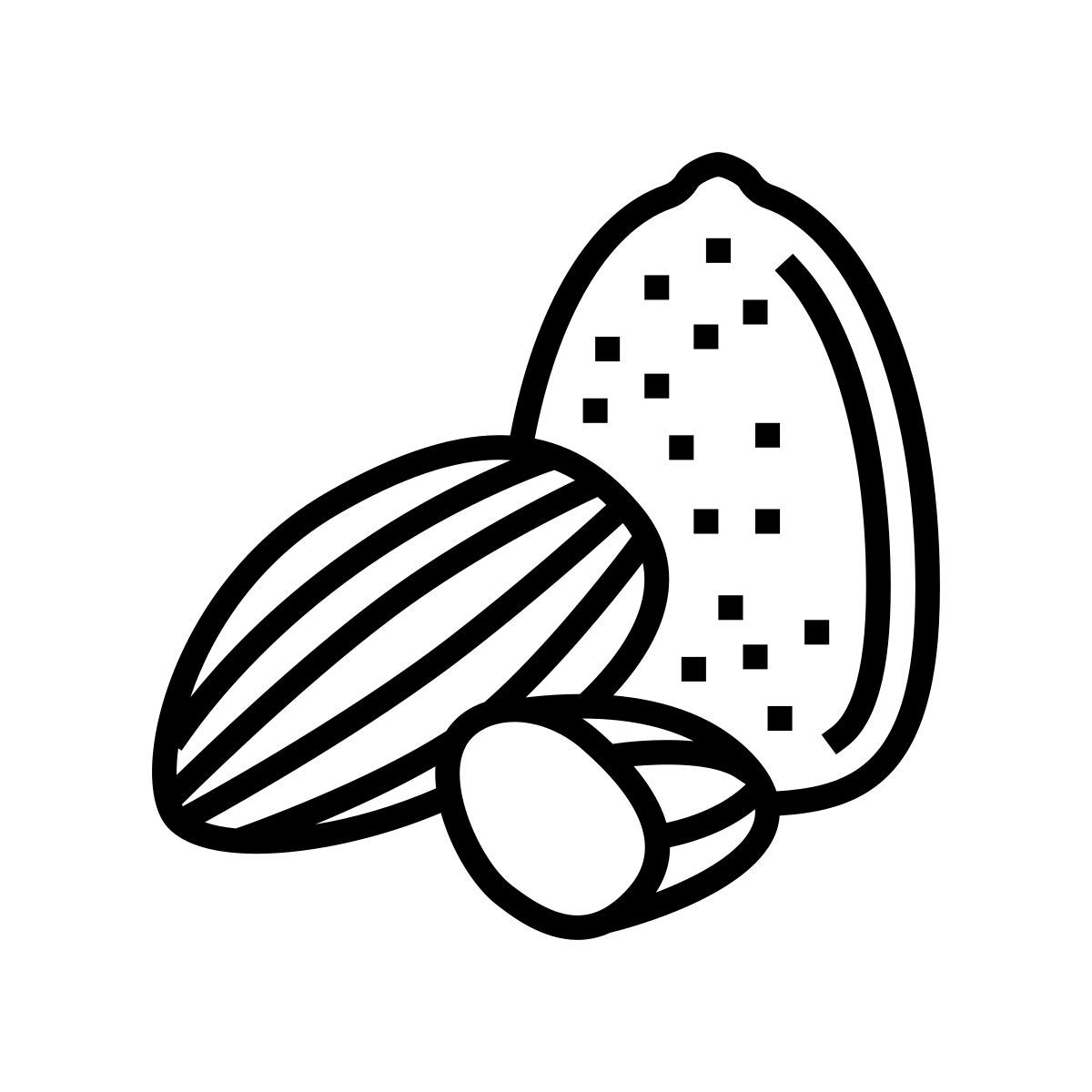 almond icon