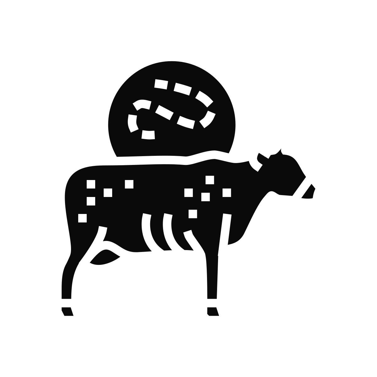 сибирская язва icon
