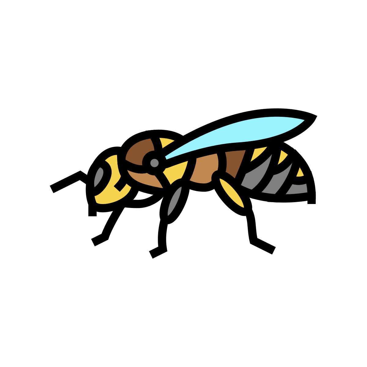 ape icon