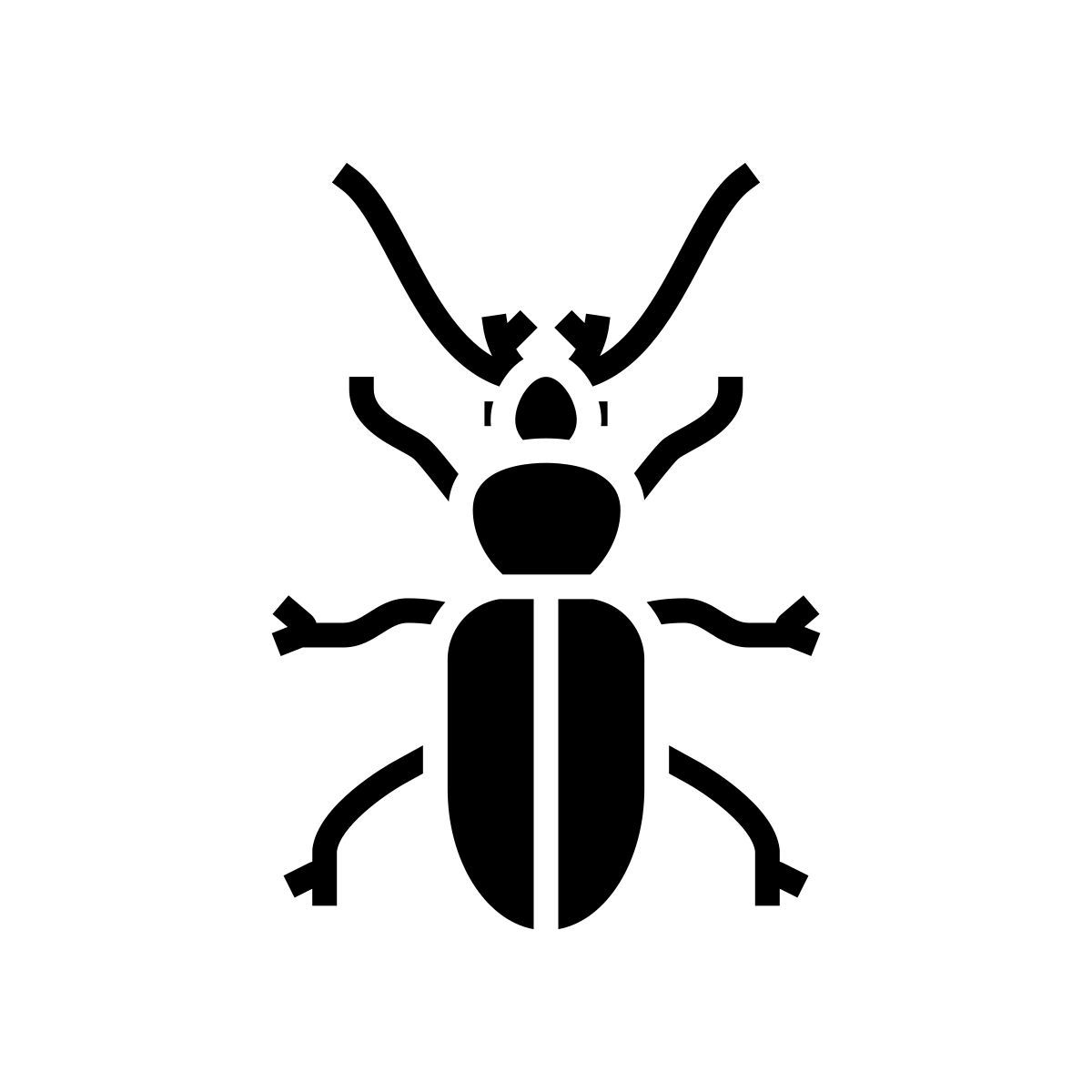 icon scarabée