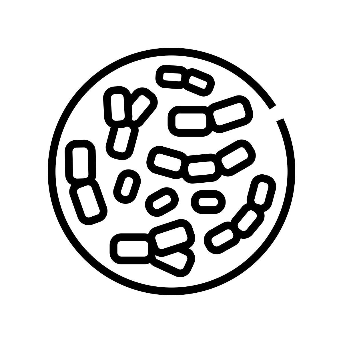 bifidobacterium icon