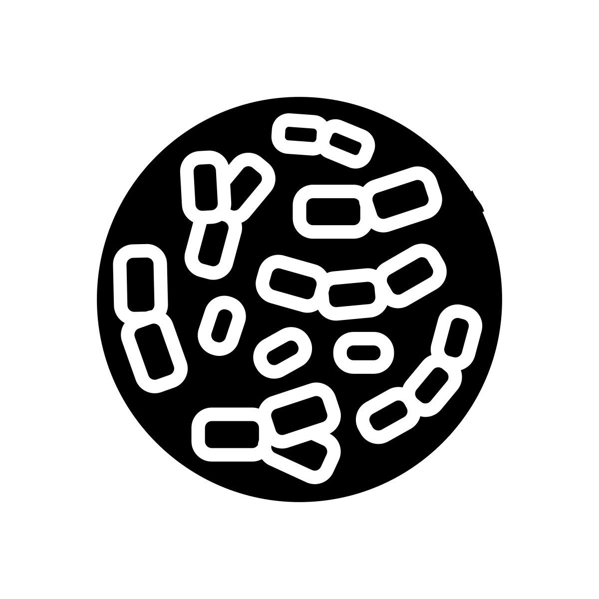 bifidobacterium icon