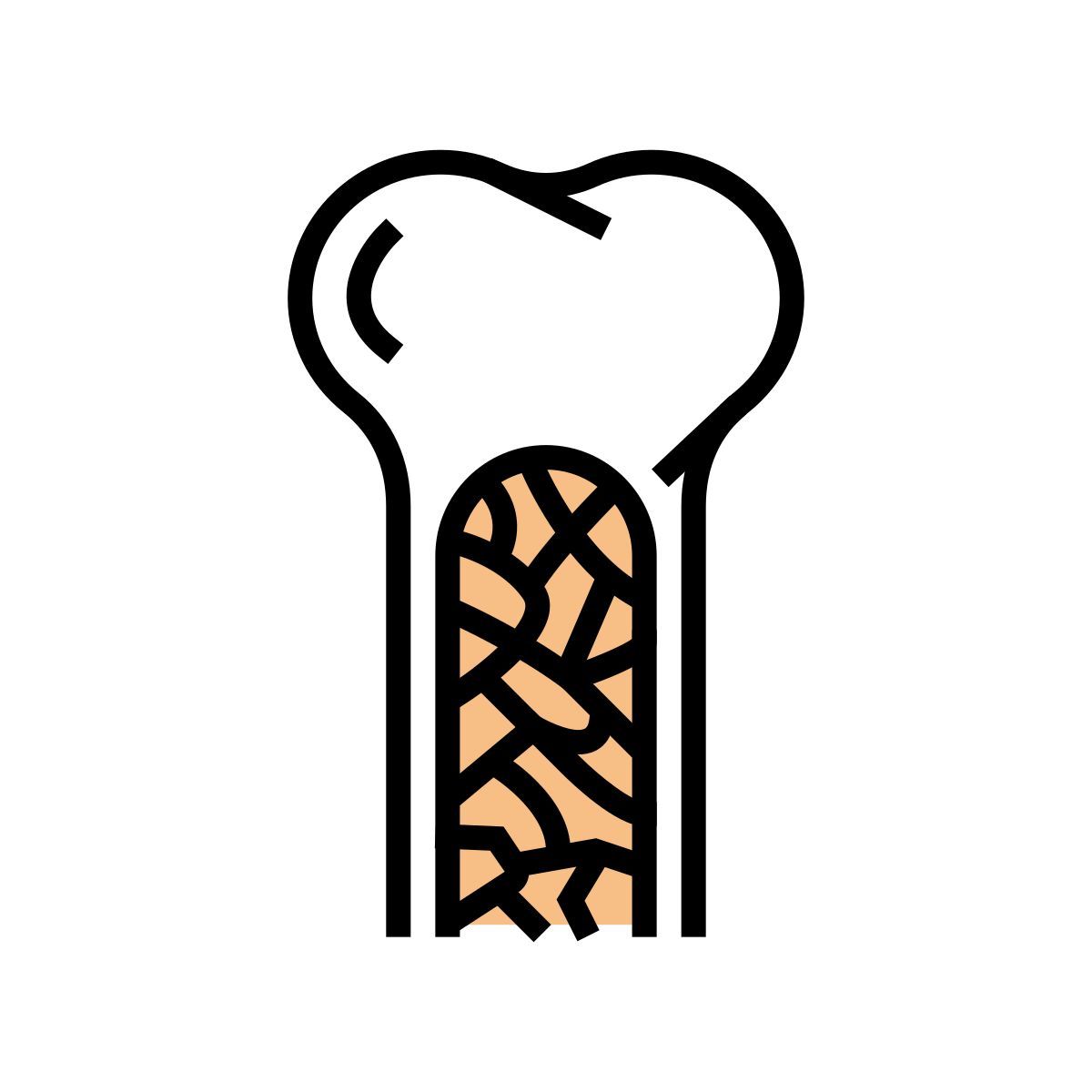 bone marrow icon