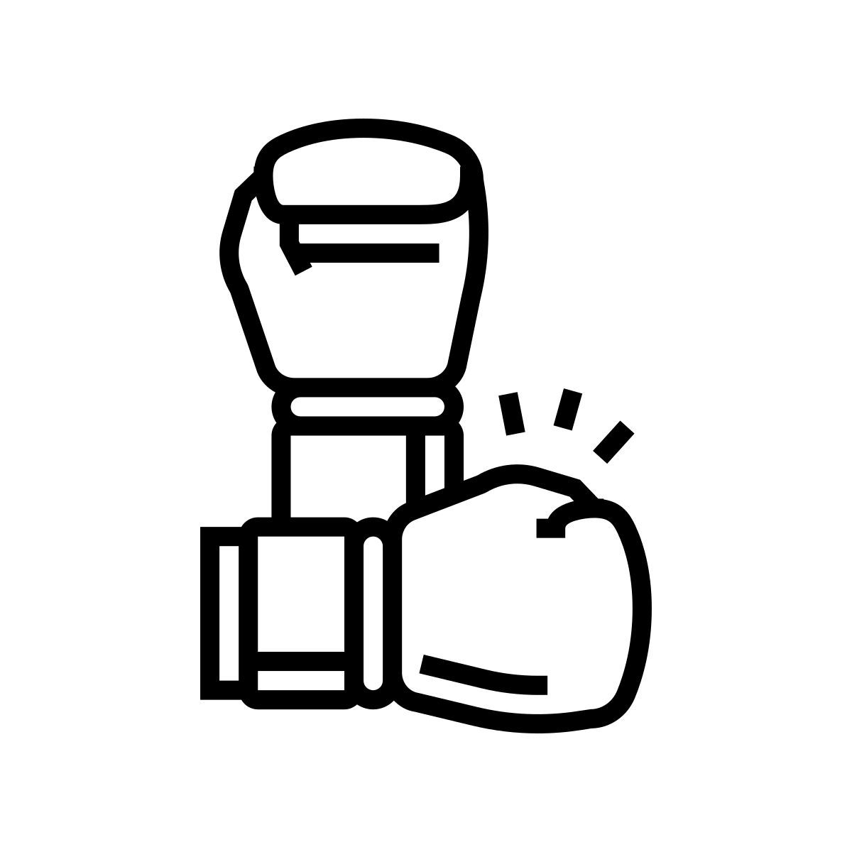 boxing gloves icon