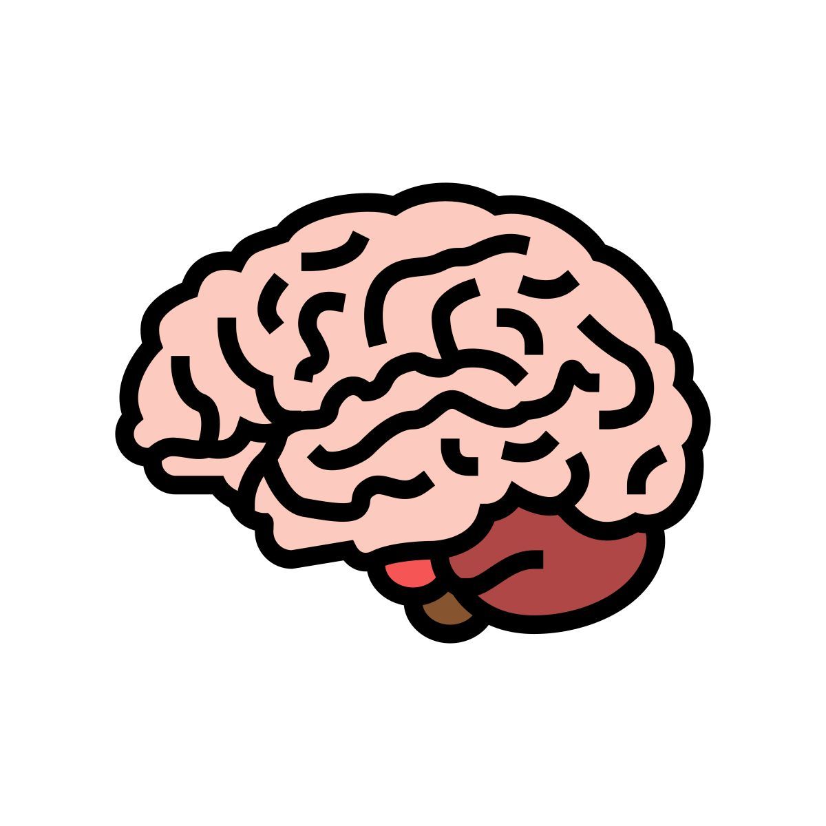 brain icon