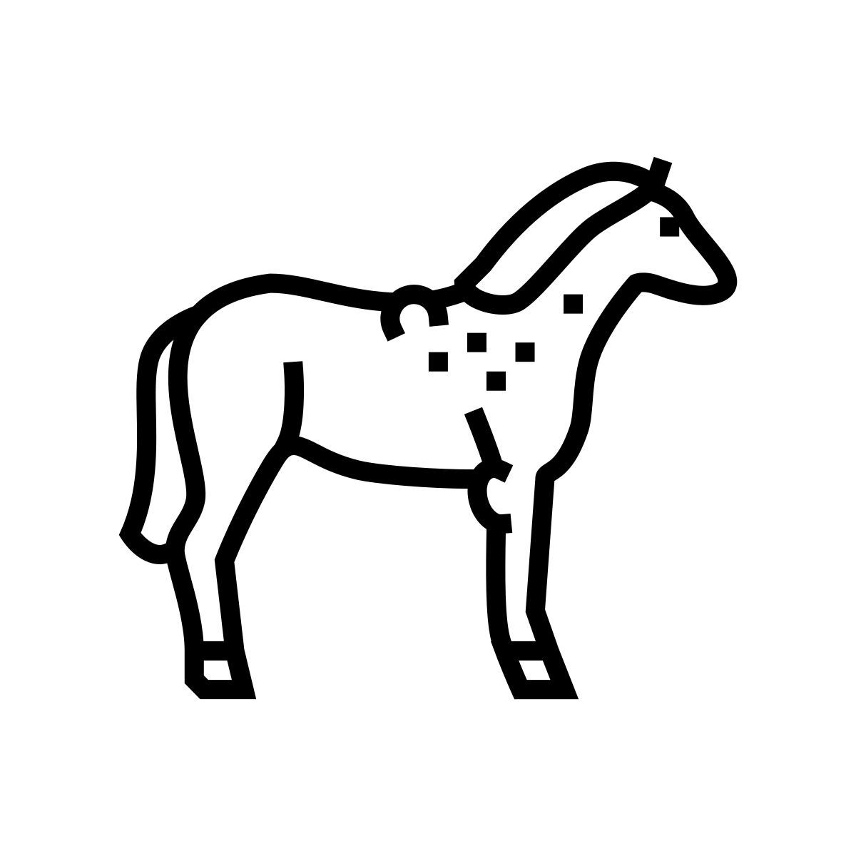brucellosi icon