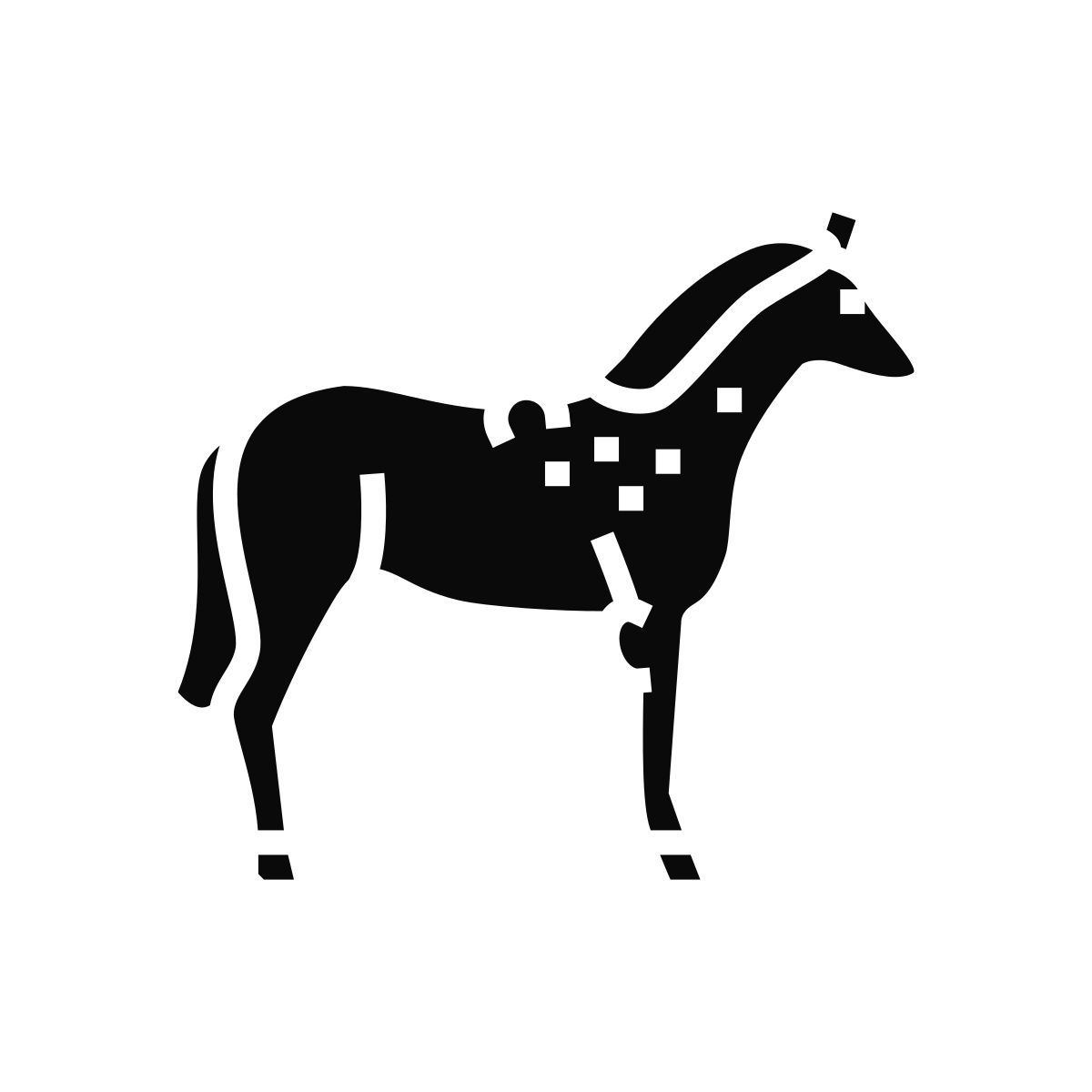 brucellose icon