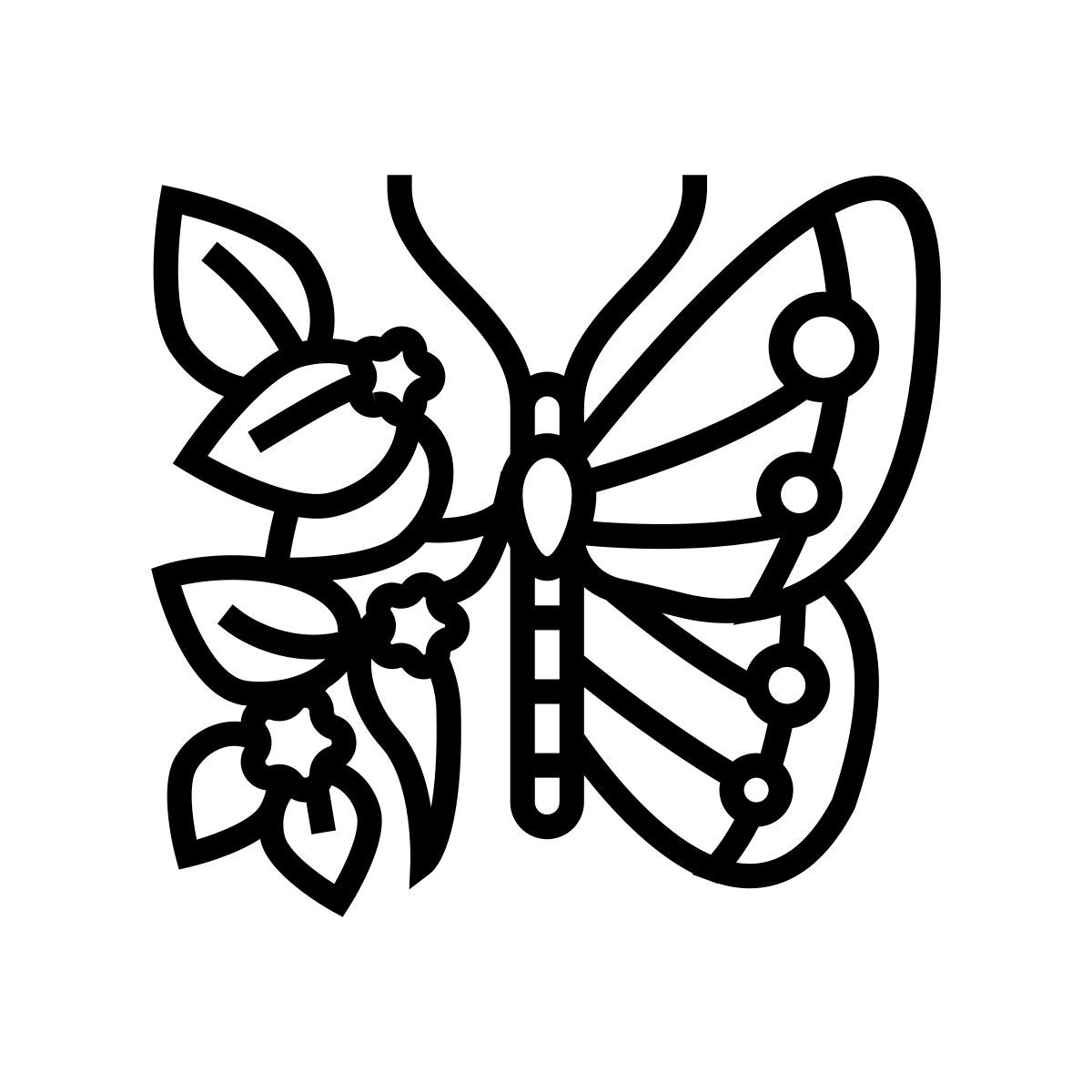 borboleta icon