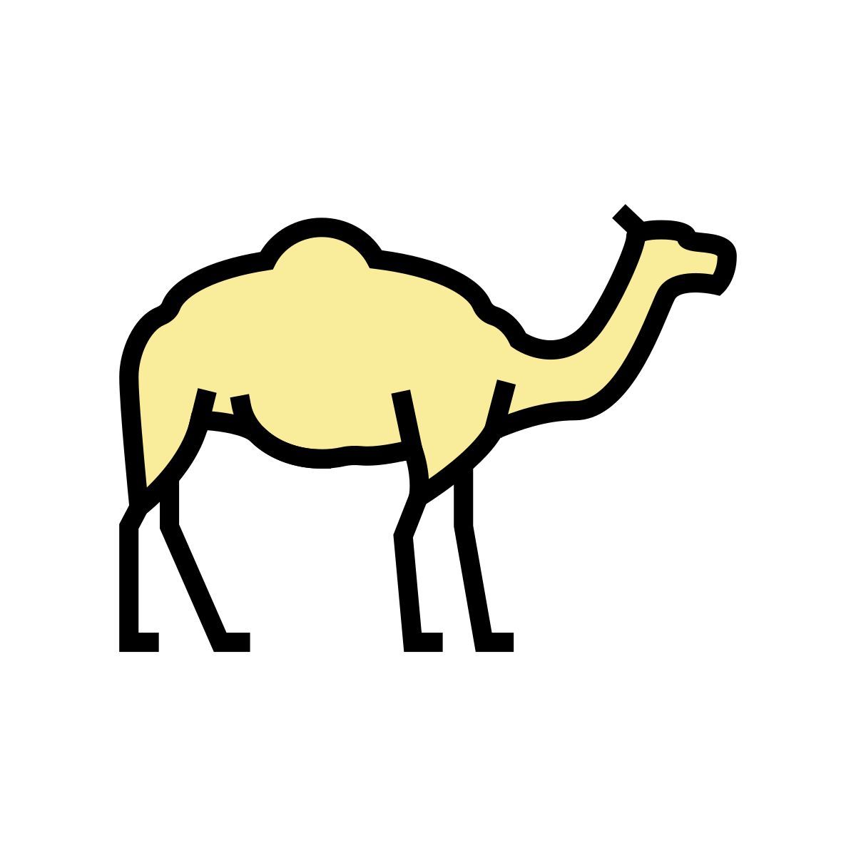camel icon