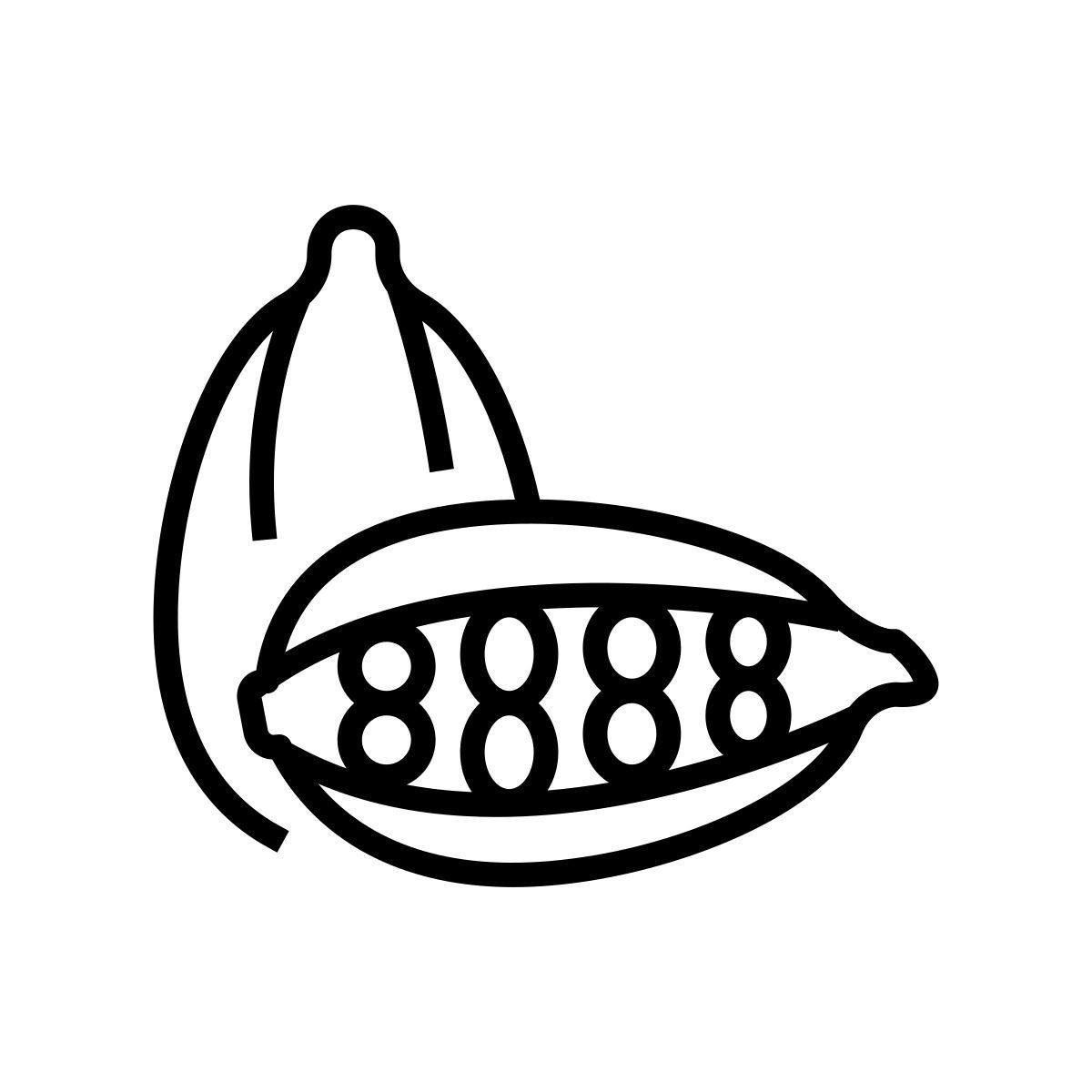 cardamomo icon