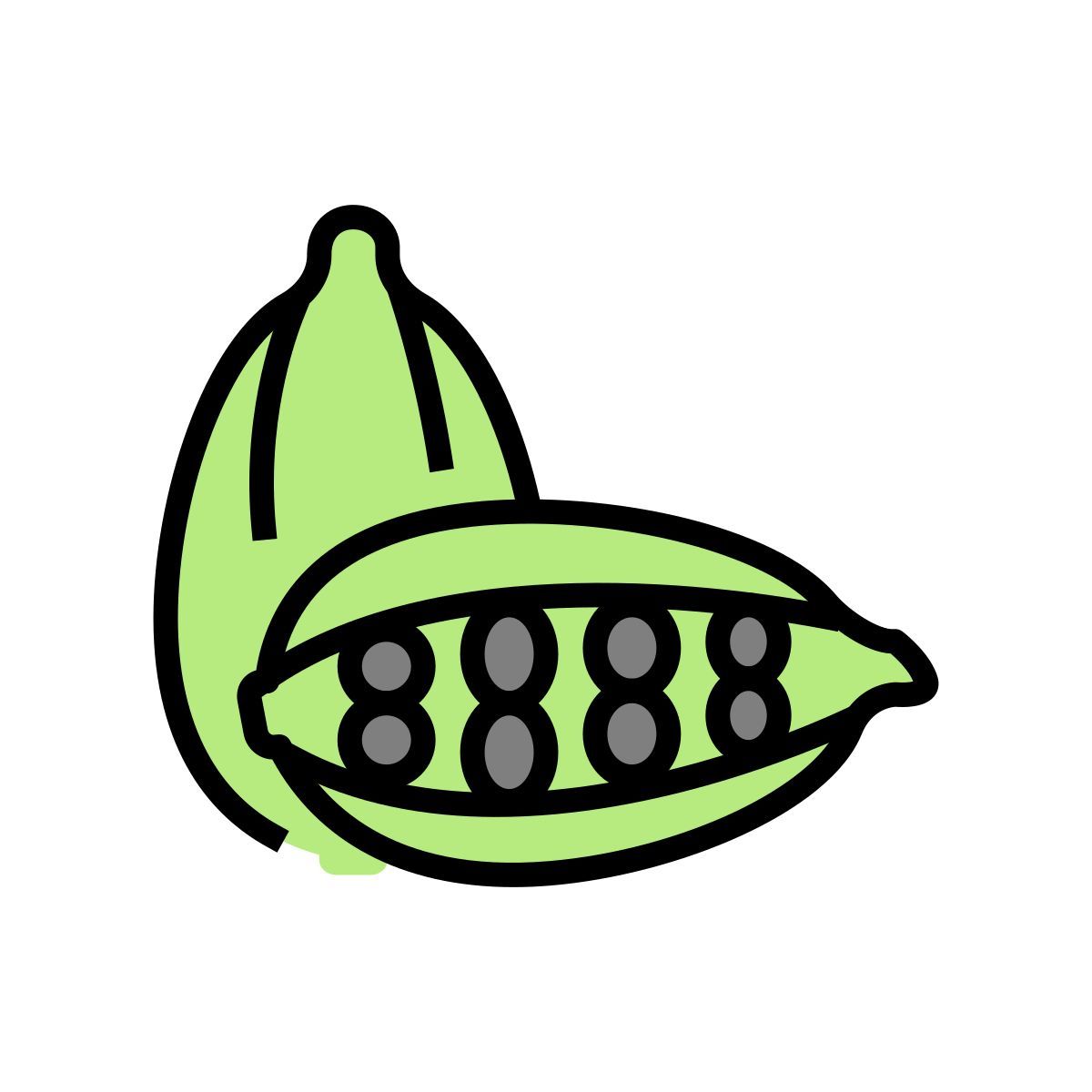 cardamomo icon